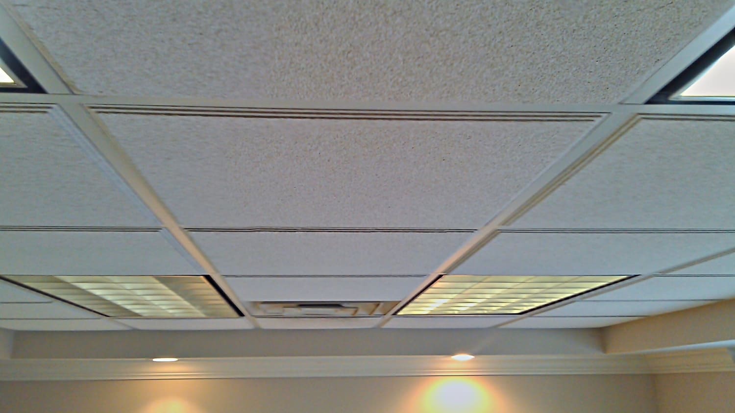 acoustic-ceilings